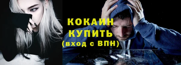 apvp Алексин