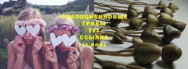apvp Алексин