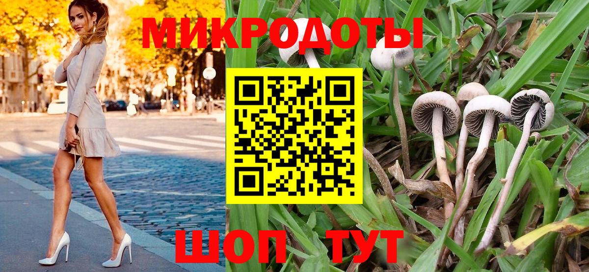 Новороссийск  Галлюциногенные грибы ЛСД  Вход с VPN 